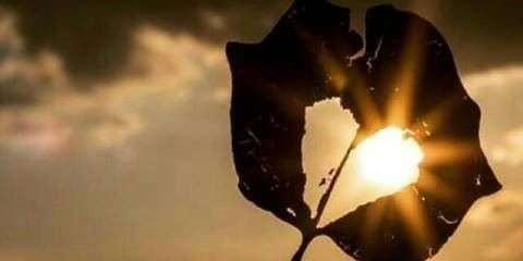 pujahernashfa's profile banner image