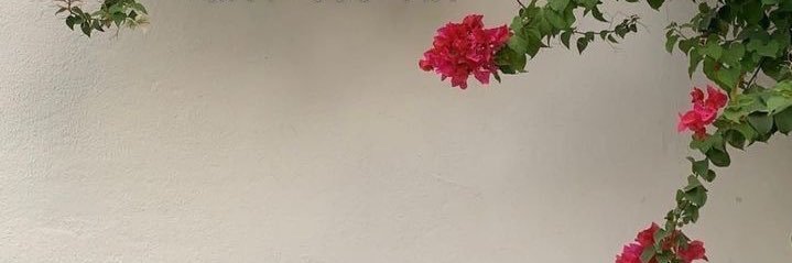 __somaya95's profile banner image