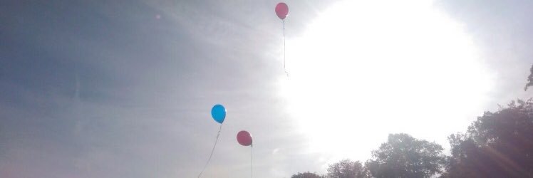NatalieRosex's profile banner image