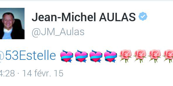 OL, mon amour banner