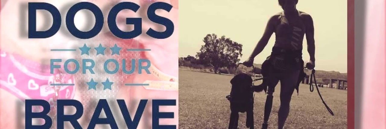 DogsForOurBrave's profile banner image