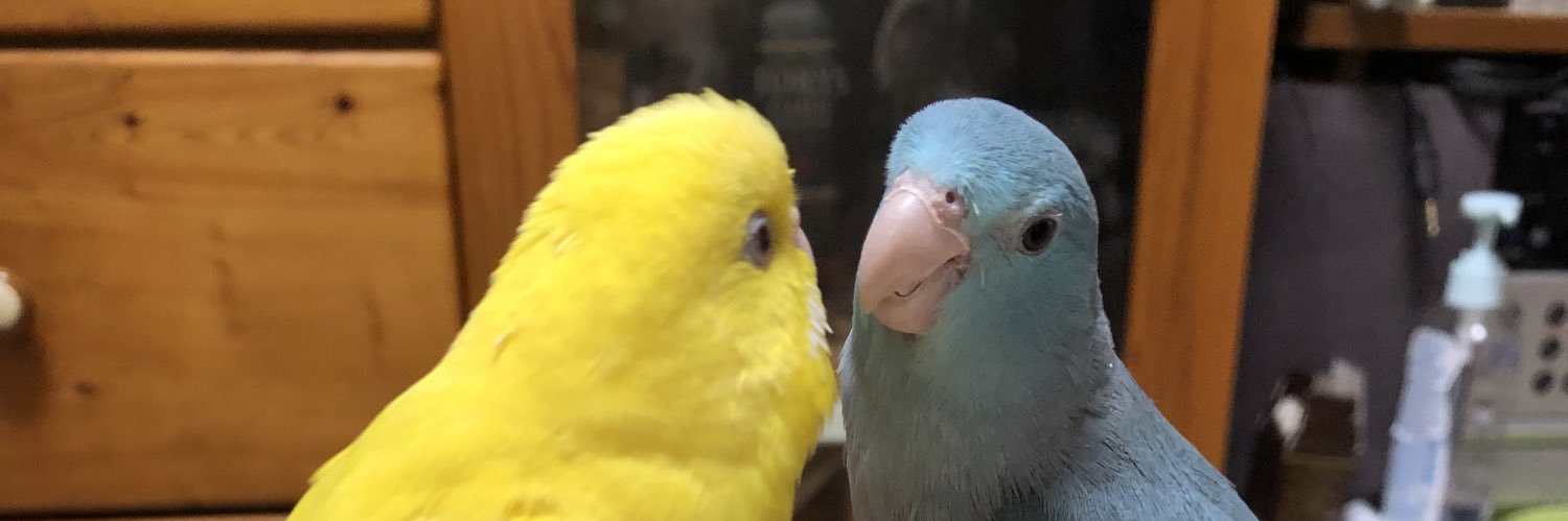 Pochi0621's profile banner image