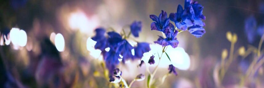 briteside913's profile banner image
