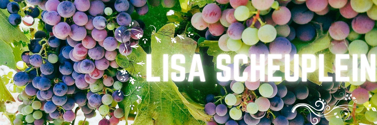 LisaScheuplein's profile banner image