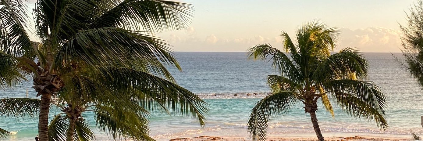 nancpants's profile banner image