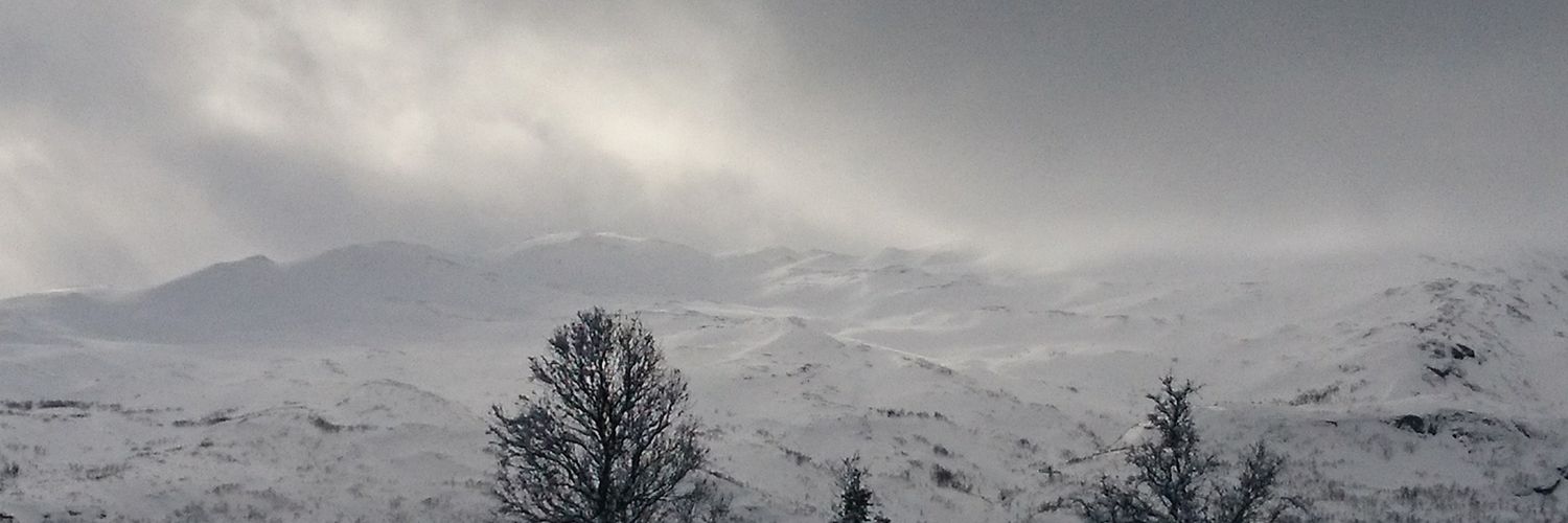 Awesomepepper's profile banner image