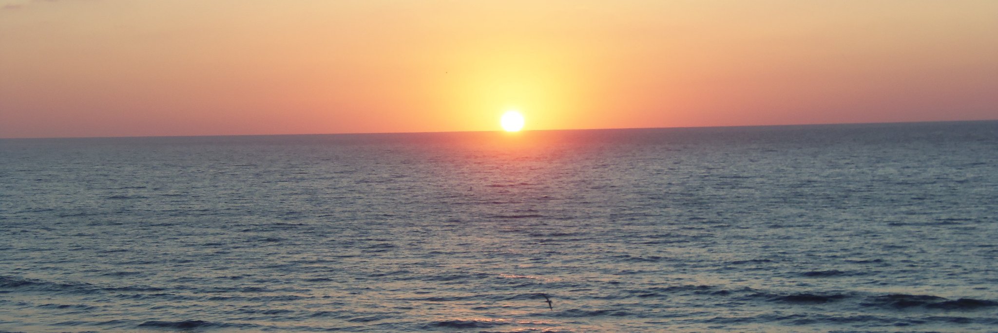 dannyjordan's profile banner image