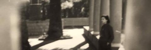 Connie_Blue1's profile banner image