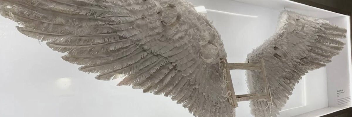 blacknwhitexox's profile banner image
