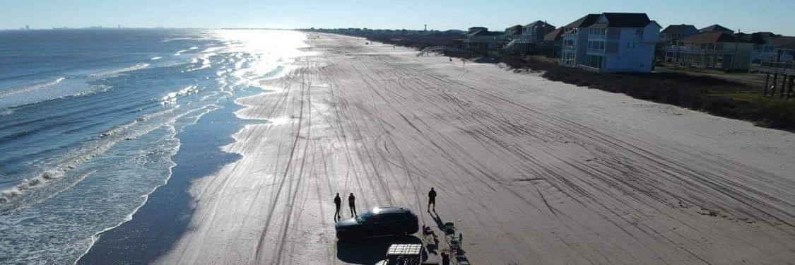 Ms. Emily Elliott banner