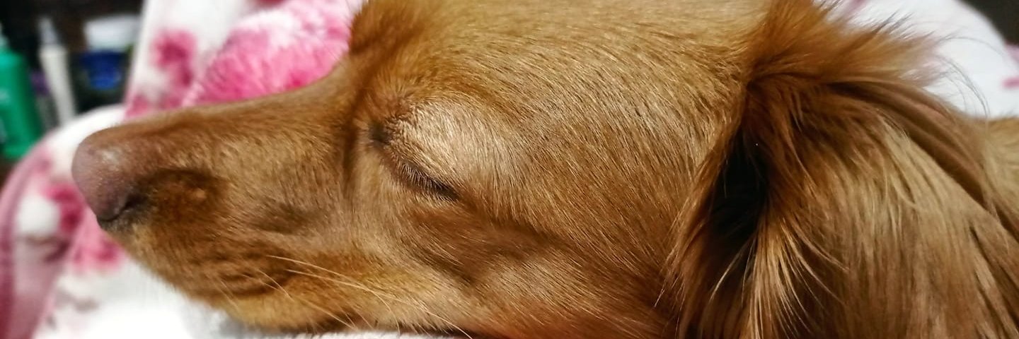 ays_aysct's profile banner image
