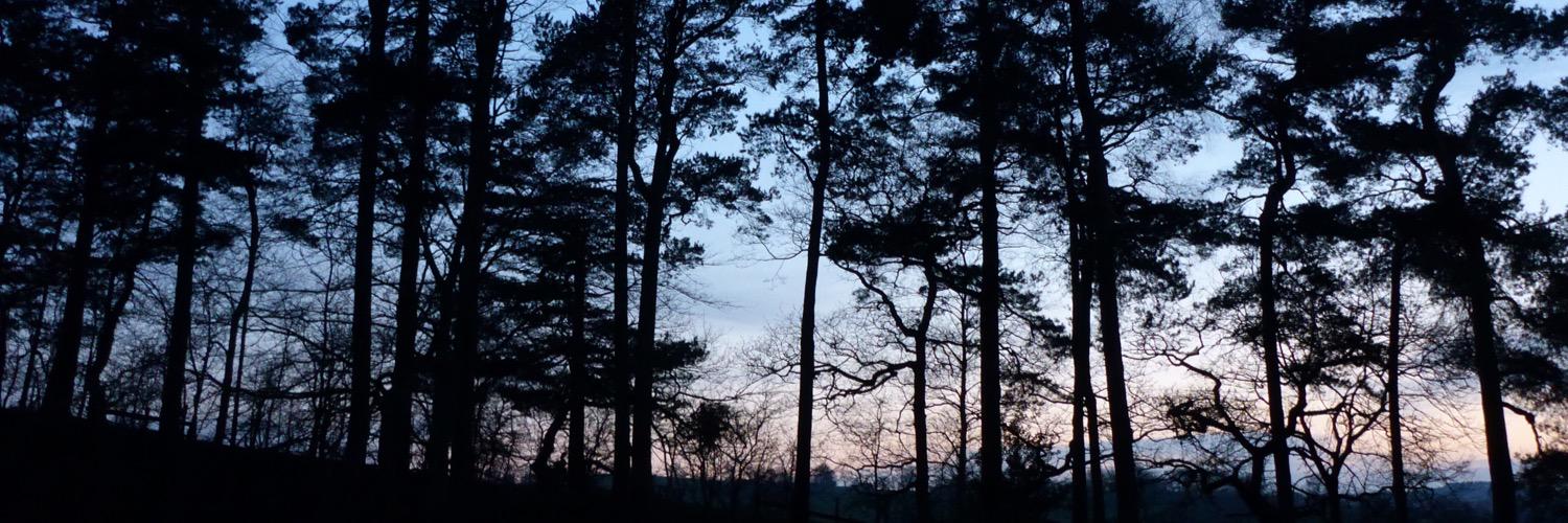glet37's profile banner image