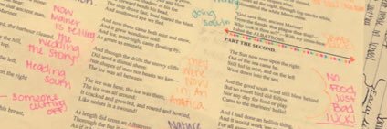 Brandi Romero banner