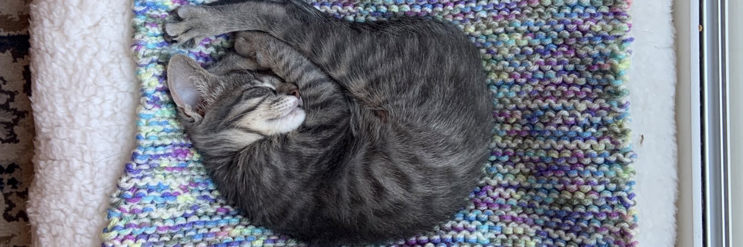 Andrew Moriarty 🗽 banner