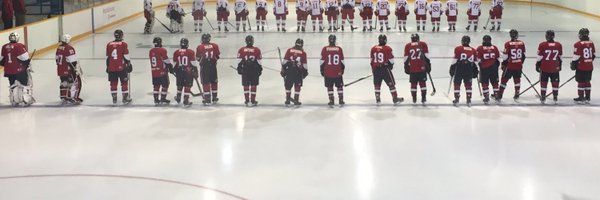 CaledonMidgetAA Profile Banner