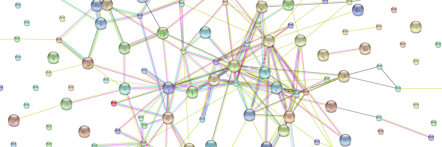 Tomasz Prajsnar banner