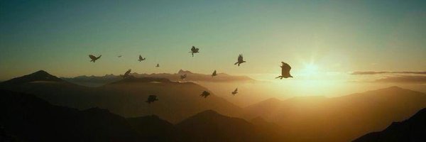 timdamen_io Profile Banner