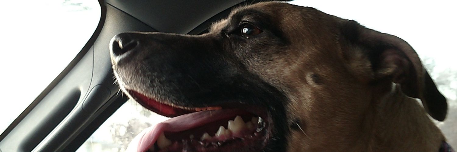 markmacjr9's profile banner image