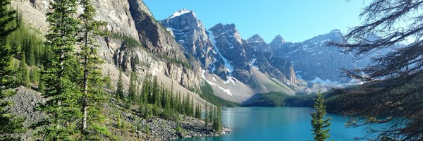 DaveLindley1 Profile Banner