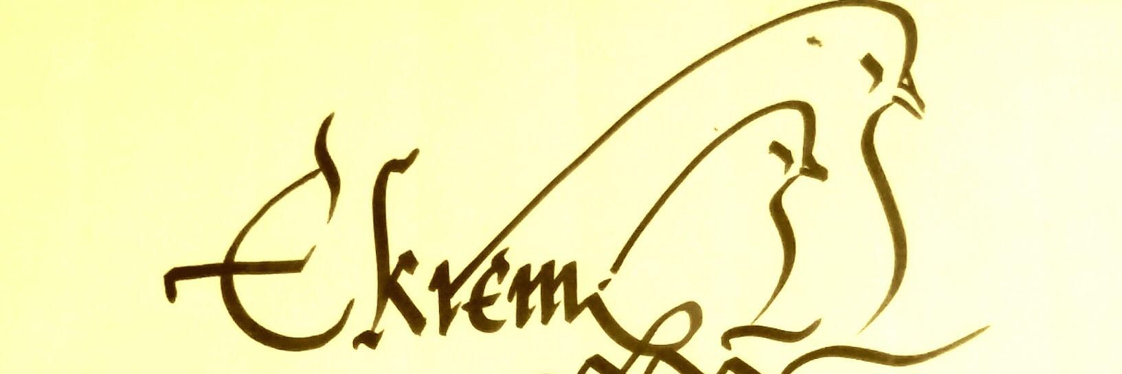 ekrem_erk's profile banner image