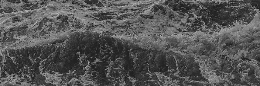 моемуморю. banner
