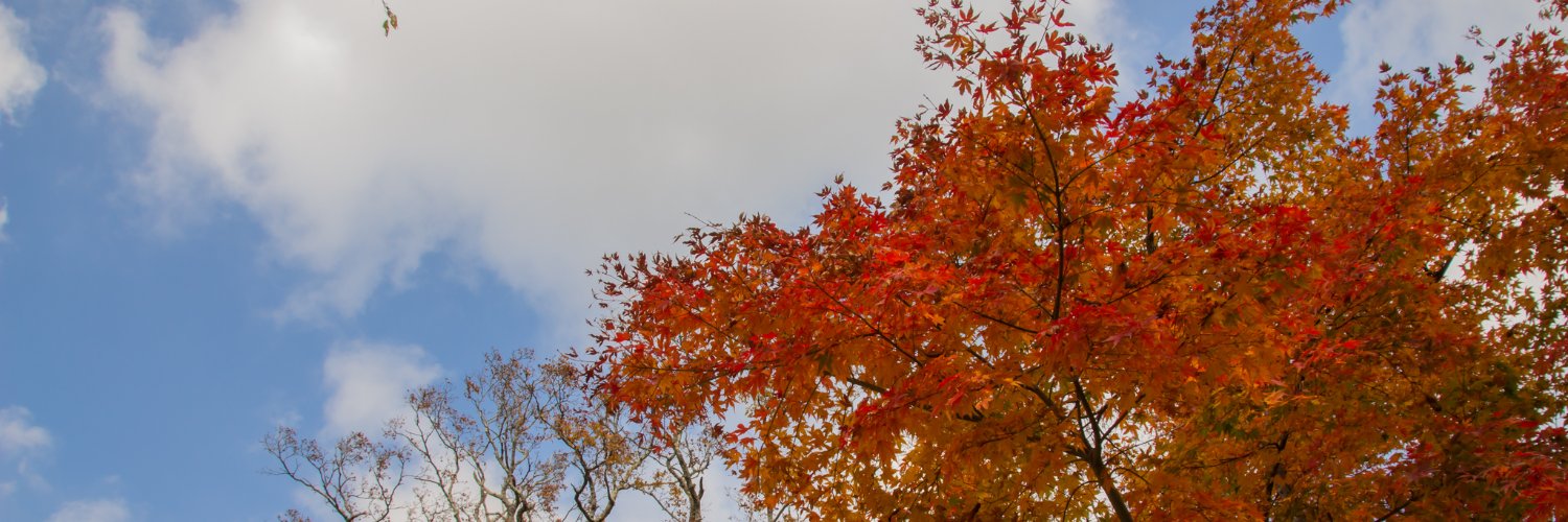 zooooooo_'s profile banner image