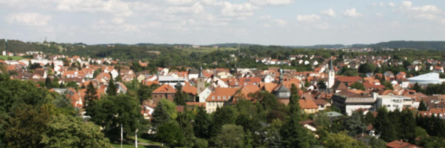 Kai SchmidtEisenlohr banner