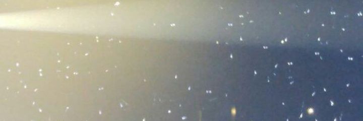 browniespuff's profile banner image