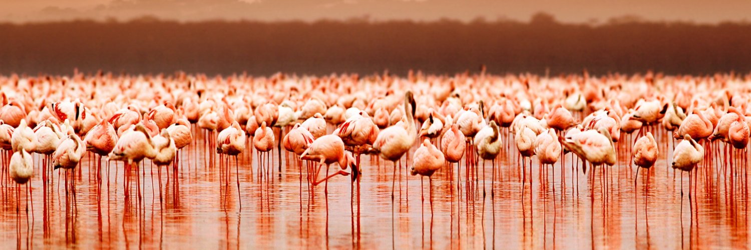 Barbara Natterson-Horowitz, MD banner