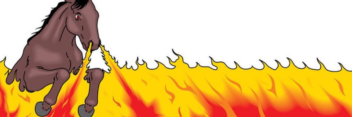 chilltoadtime's profile banner image