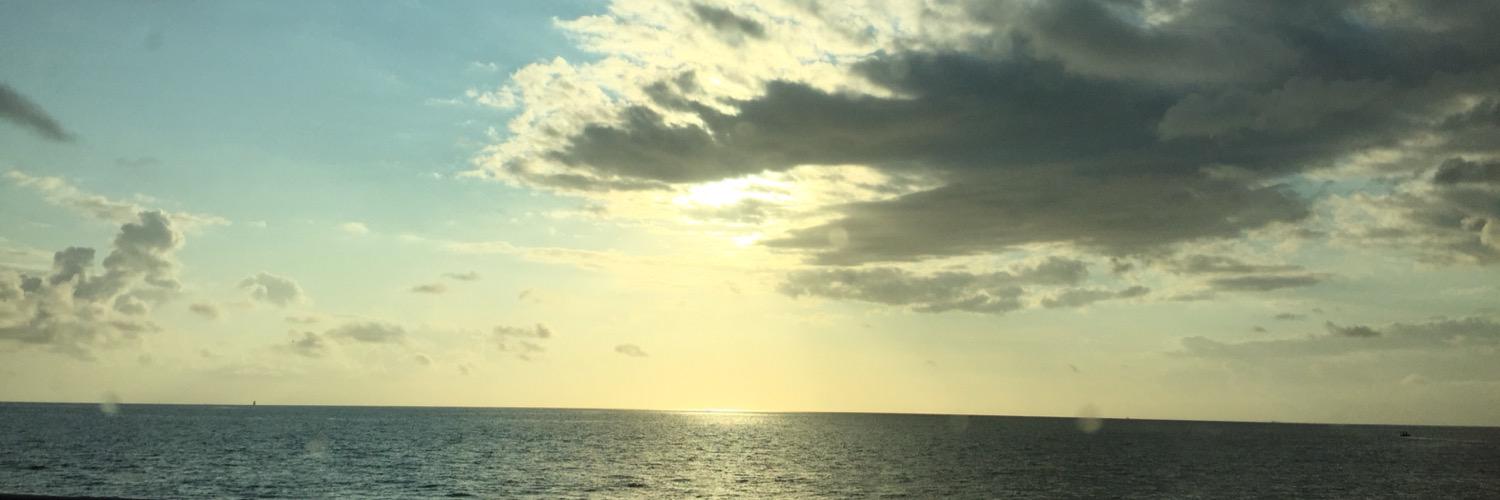 tracybly5's profile banner image