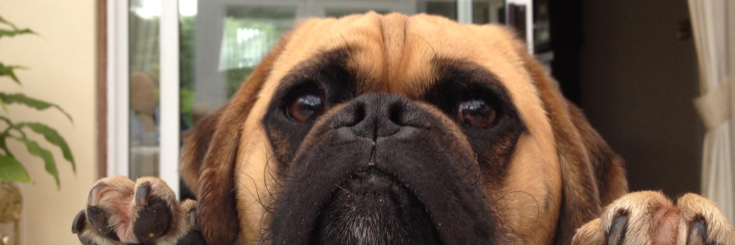 petewerbowy's profile banner image