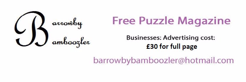 BamboozlerMag's profile banner image