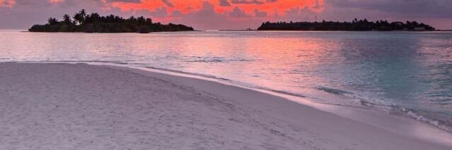 Пупырка| banner