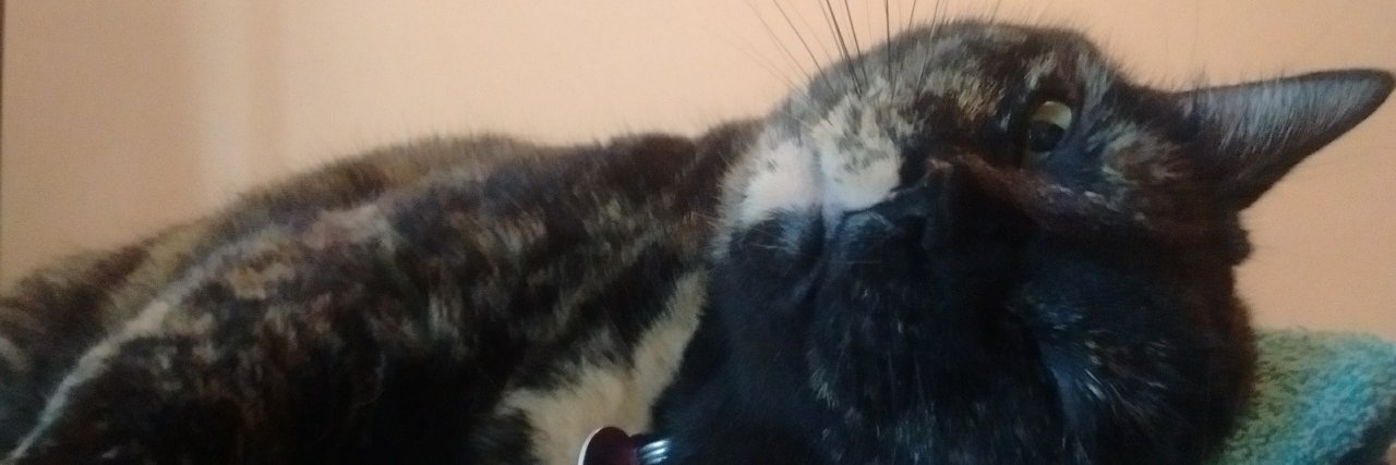 sidravitale's profile banner image