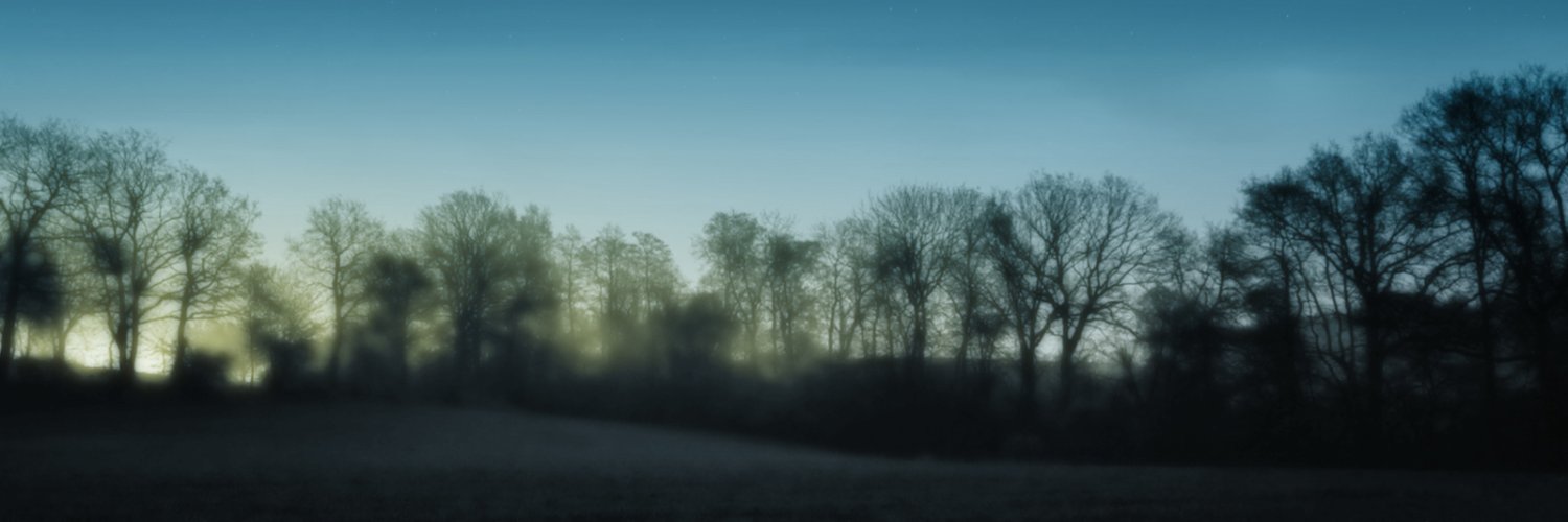 Wilrelmo1's profile banner image
