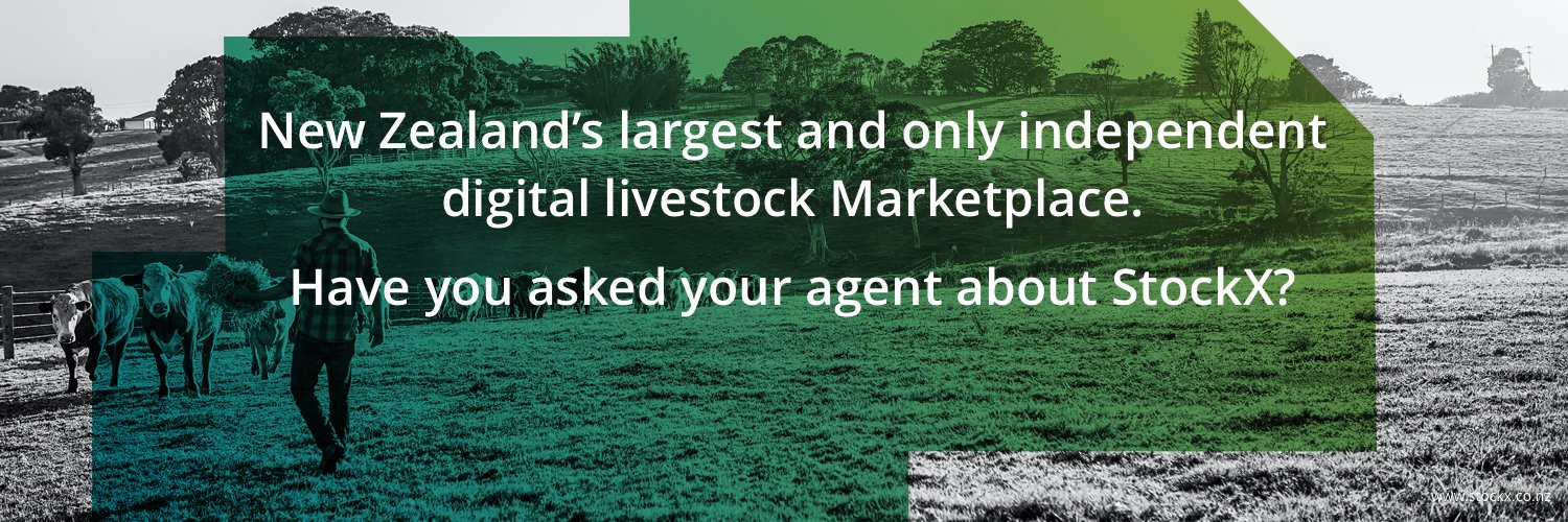 StockX_NZ's profile banner image