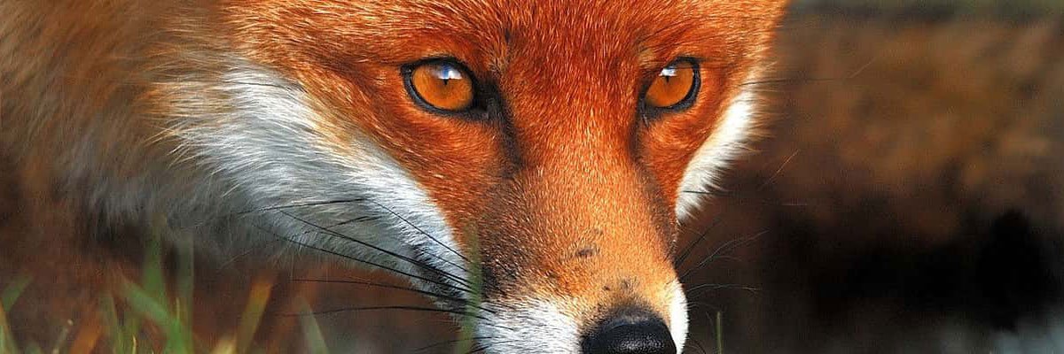 brianp66's profile banner image