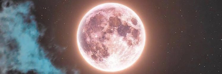 dehalcantara's profile banner image
