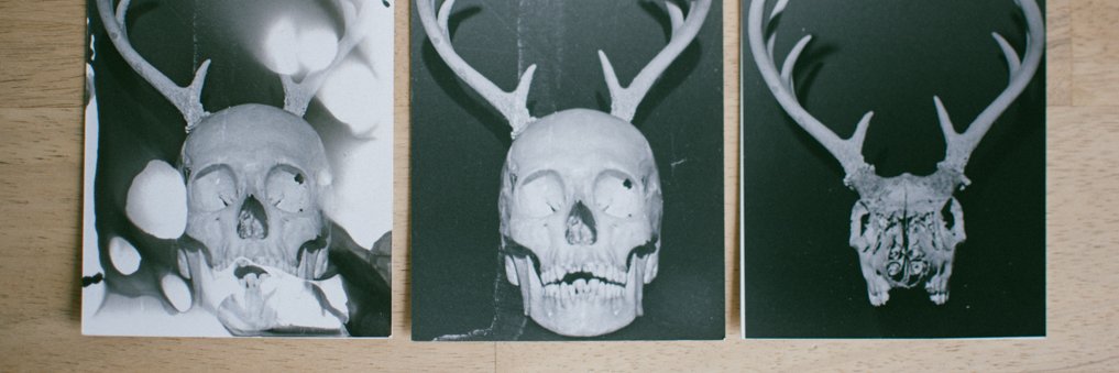 Do3Deer's profile banner image