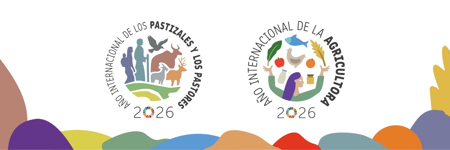 FAOEcuador's profile banner image