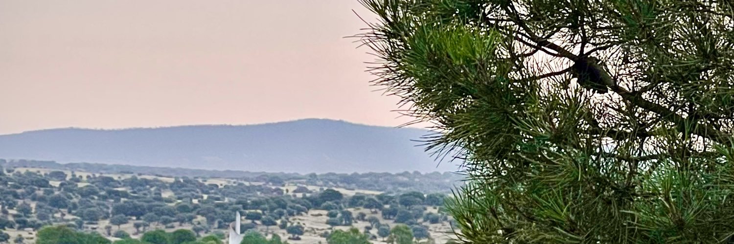 jcesarFuster's profile banner image