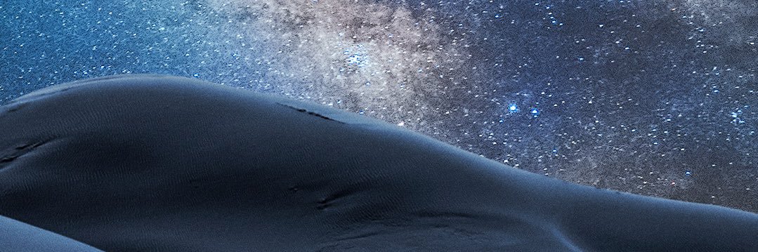_salvanine's profile banner image