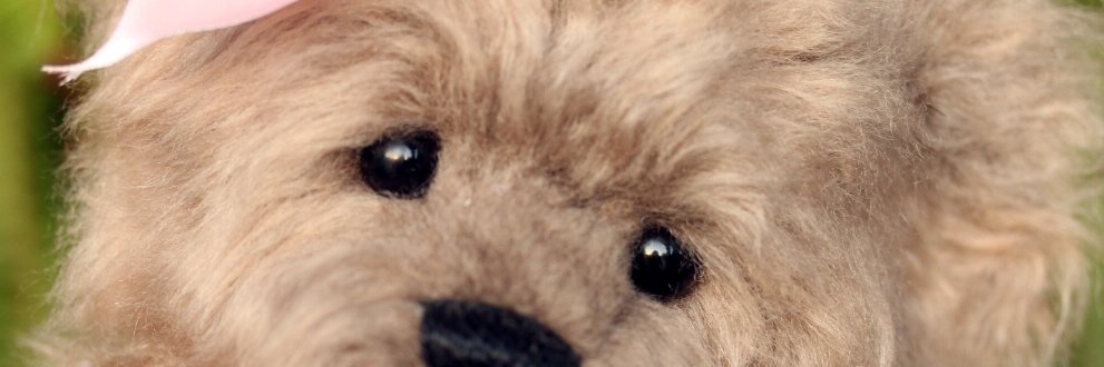 Kimbearlys's profile banner image