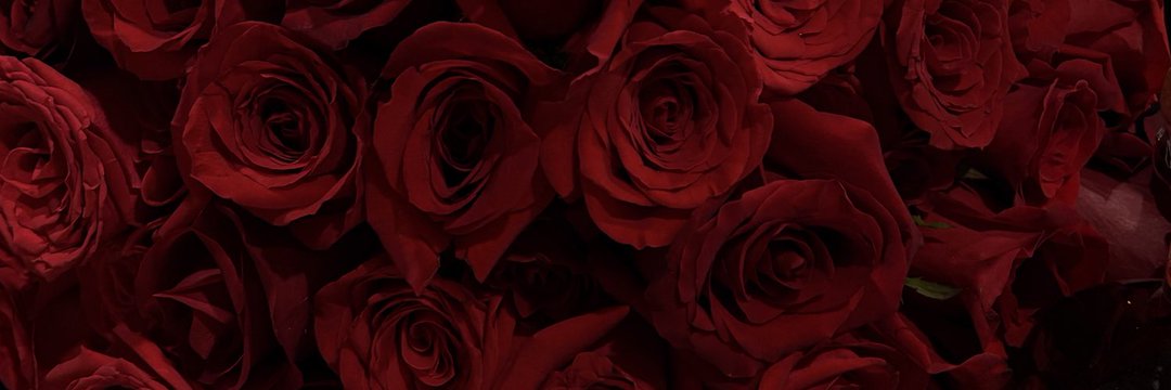 iOverDoseOn_XO's profile banner image