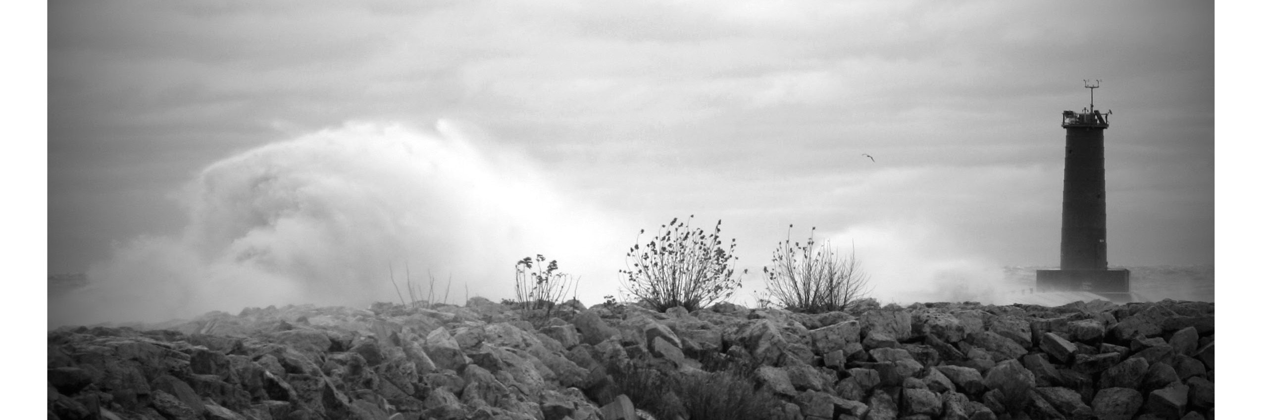 BruceMansker's profile banner image