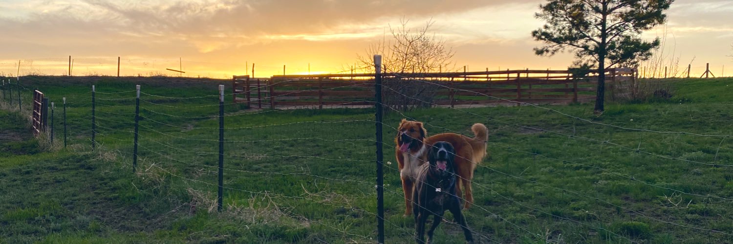 _laffystaffy's profile banner image