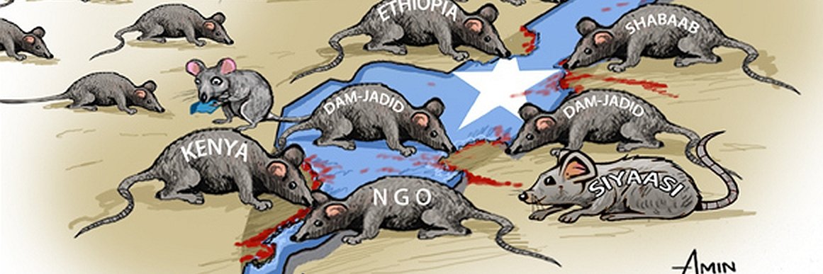 SomaliaDirect's profile banner image