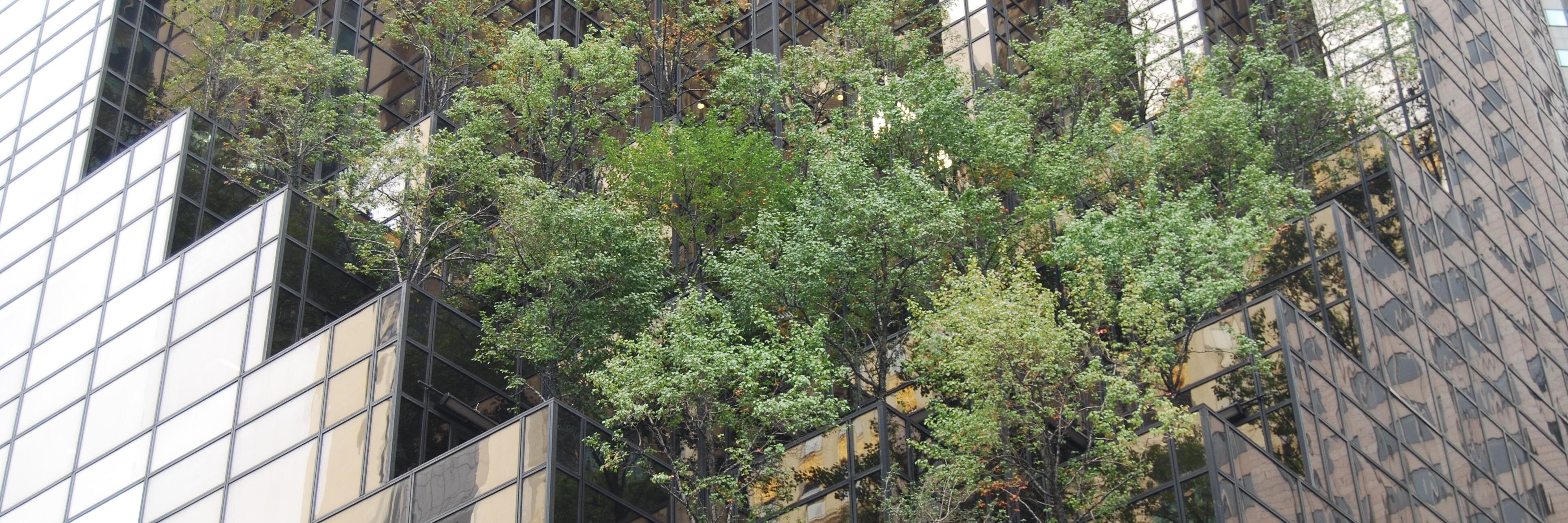 Anne de Guigné banner