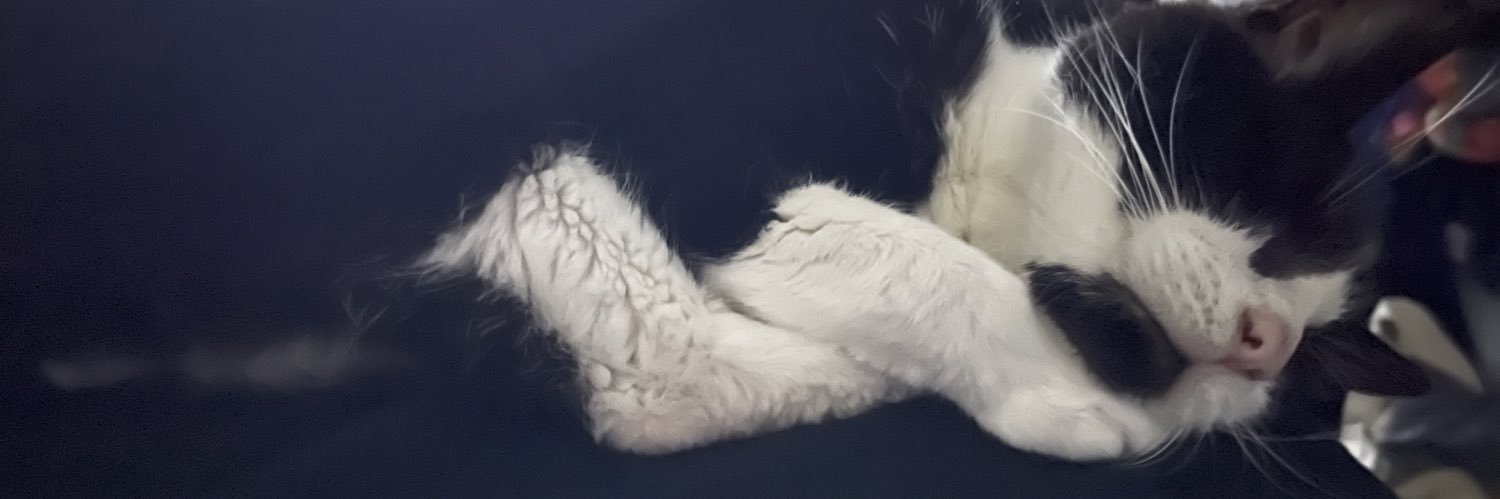 💜Kat💙 banner